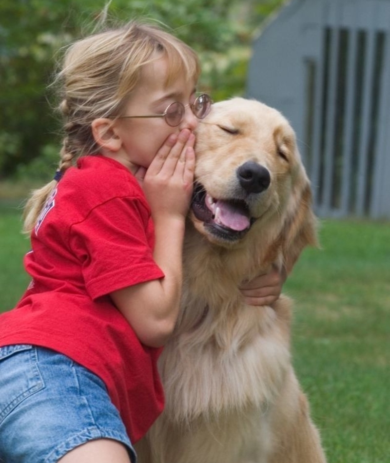 Guardián de secretos | Facebook/@Caninesforkids