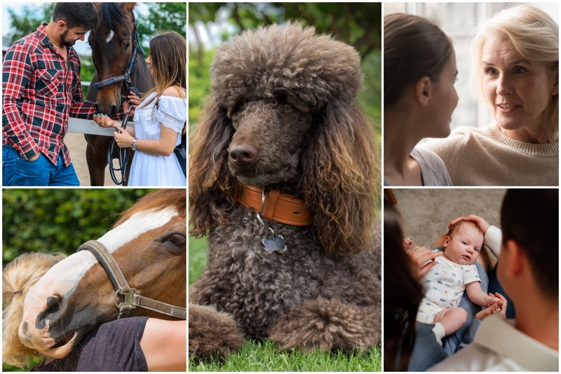 Creía que iba a tener un bebé hasta que su caballo descubrió algo diferente | Shutterstock