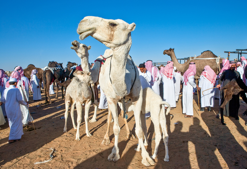 Arábia Saudita | Shutterstock