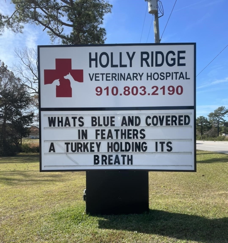 This Turkey Hates Vet Visits | Facebook/@HollyRidgeVet