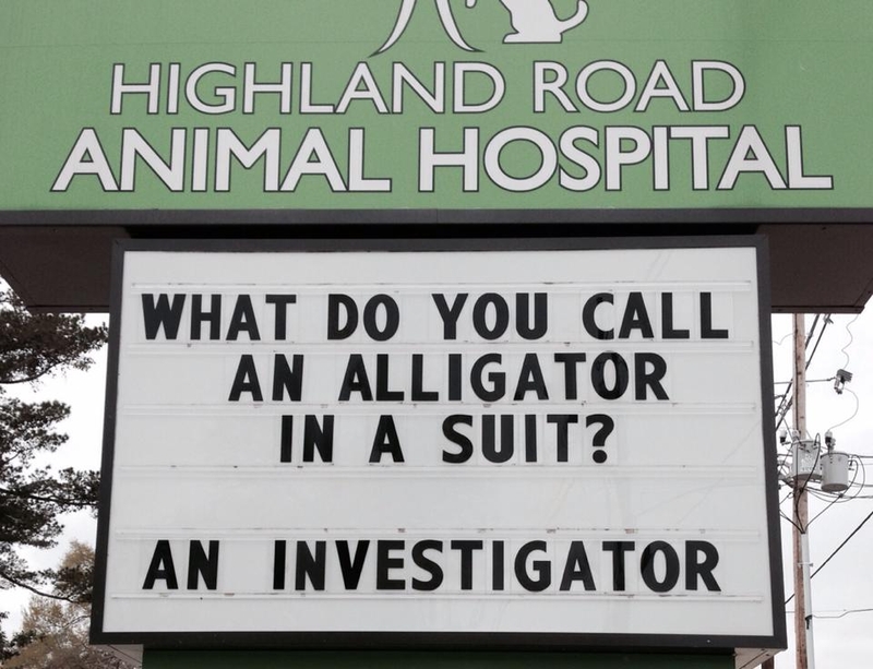 Smoke and Mirrors | Facebook/@HighlandRoadAnimalHospital