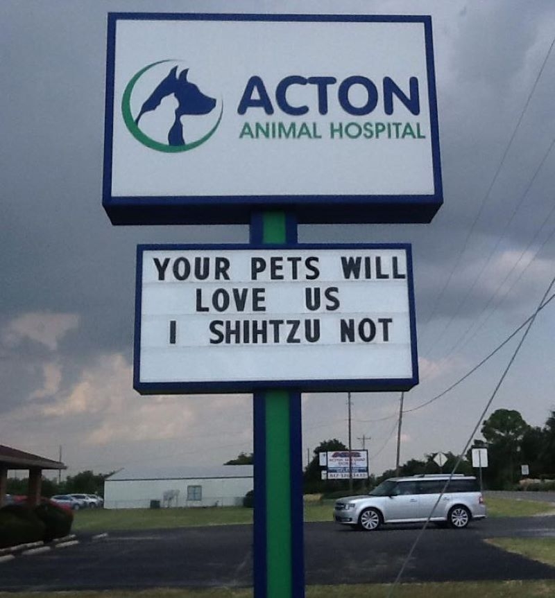 For the Love Of Shih Tzus | Facebook/@ActonAnimalHospital