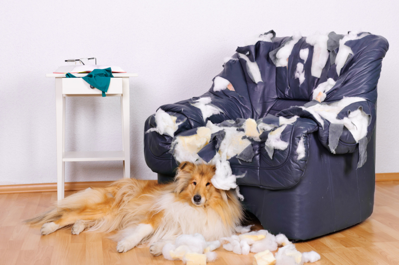 Broken Furniture | Alamy Stock Photo by Jana Schoenknecht