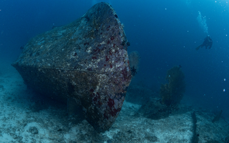 The Tuna Wreck Ship | Getty Images Photo by SummerParadive