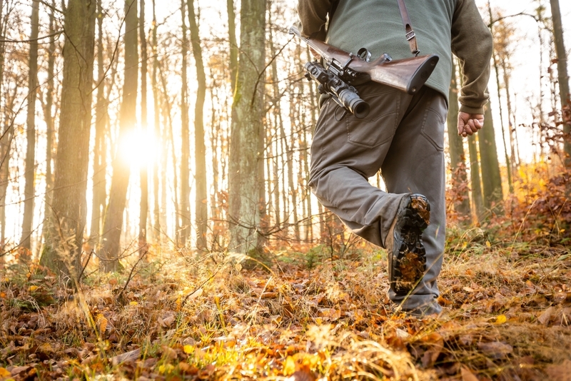 Él conocía el bosque | Shutterstock