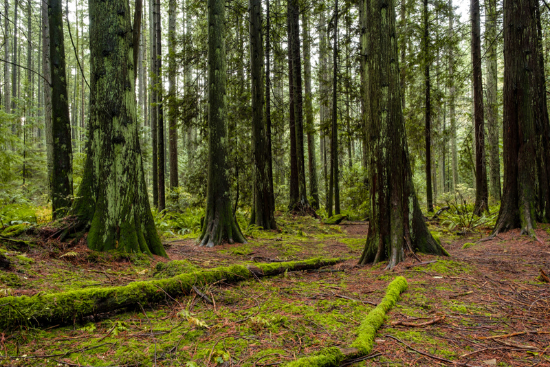 Der Anfang vom Ende | Shutterstock