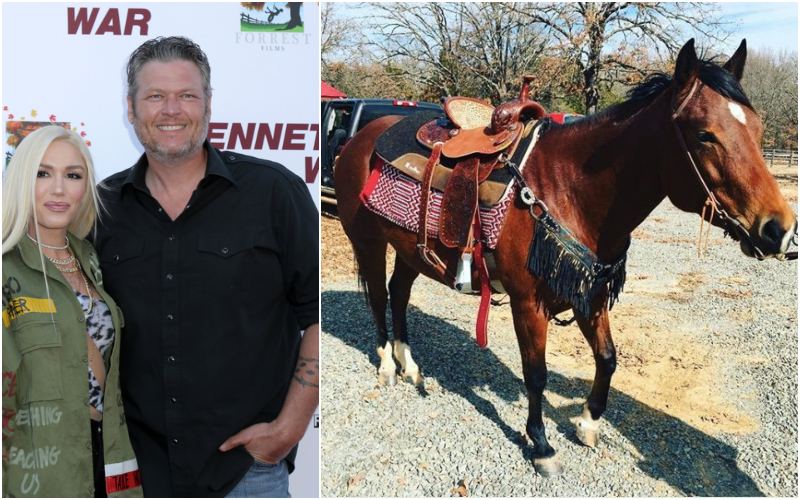 His and Hers Horses | Shutterstock & Instagram/@gwenstefani