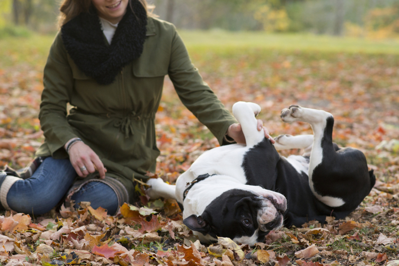 Wiggling Like a Caterpillar | Getty Images Photo by LittleCityLifestylePhotography