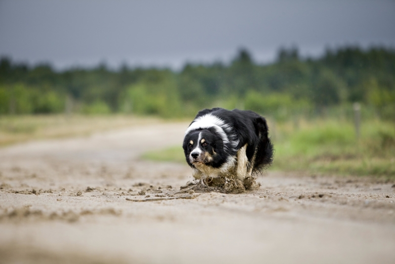 Crouching | Shutterstock Photo by Meike Engels/imageBROKER