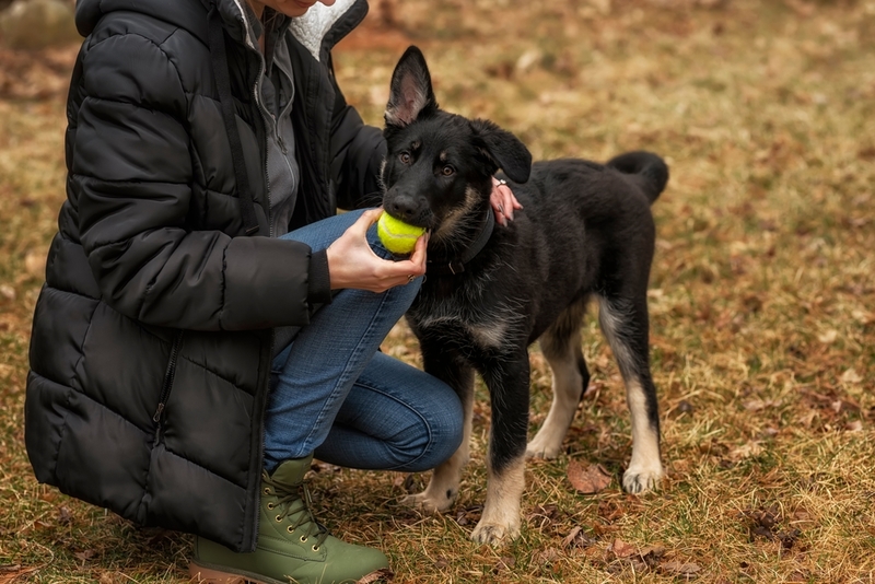 Play Comes in Many Forms | Shutterstock