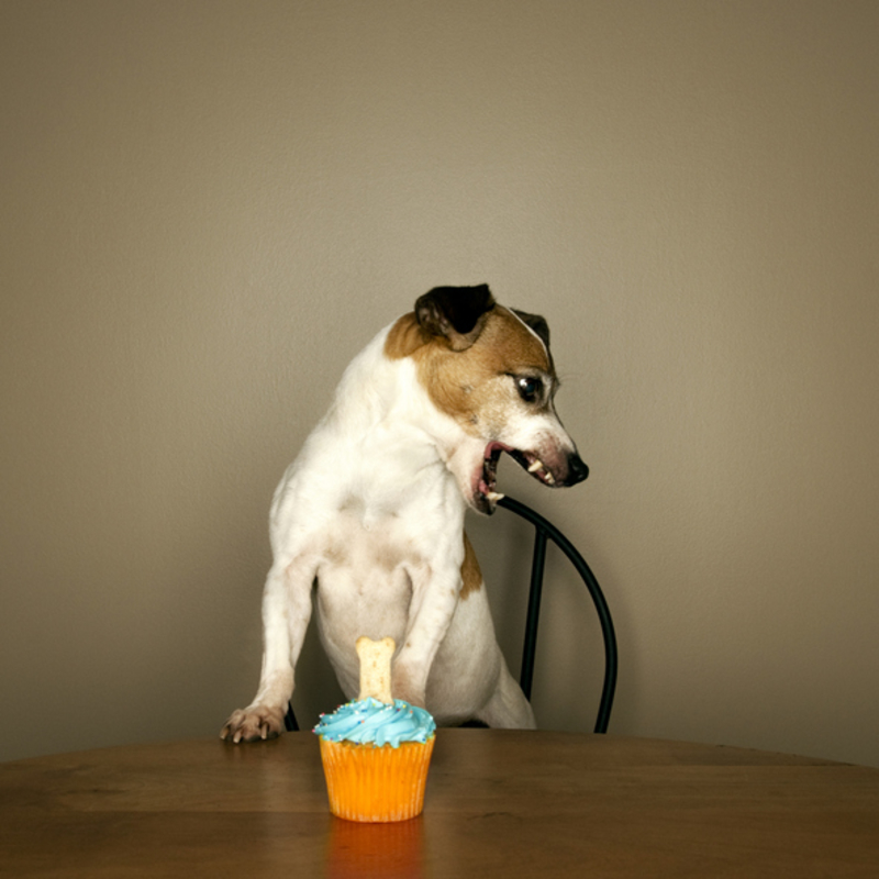 Food Protective | Getty Images Photo by gollykim