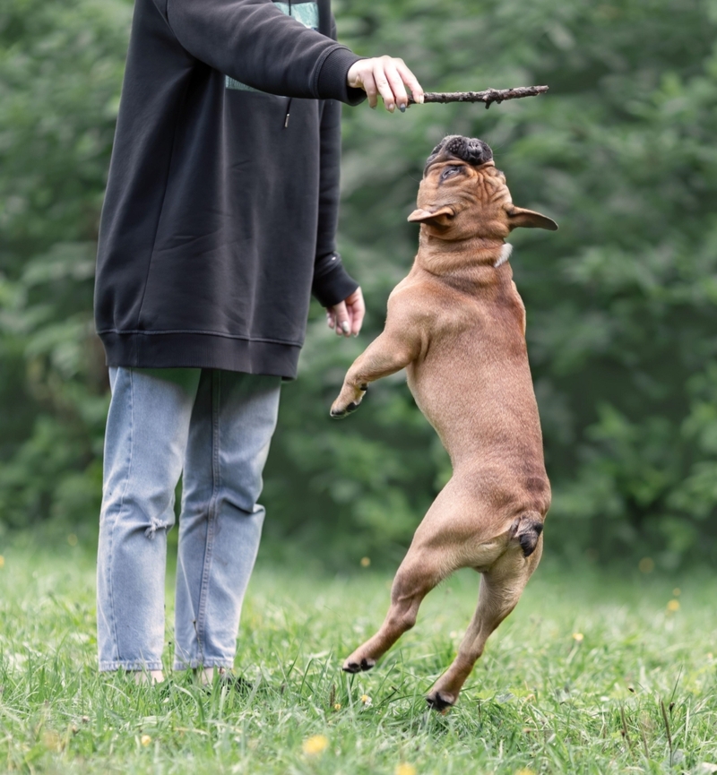 Careful When You Jump | Alamy Stock Photo