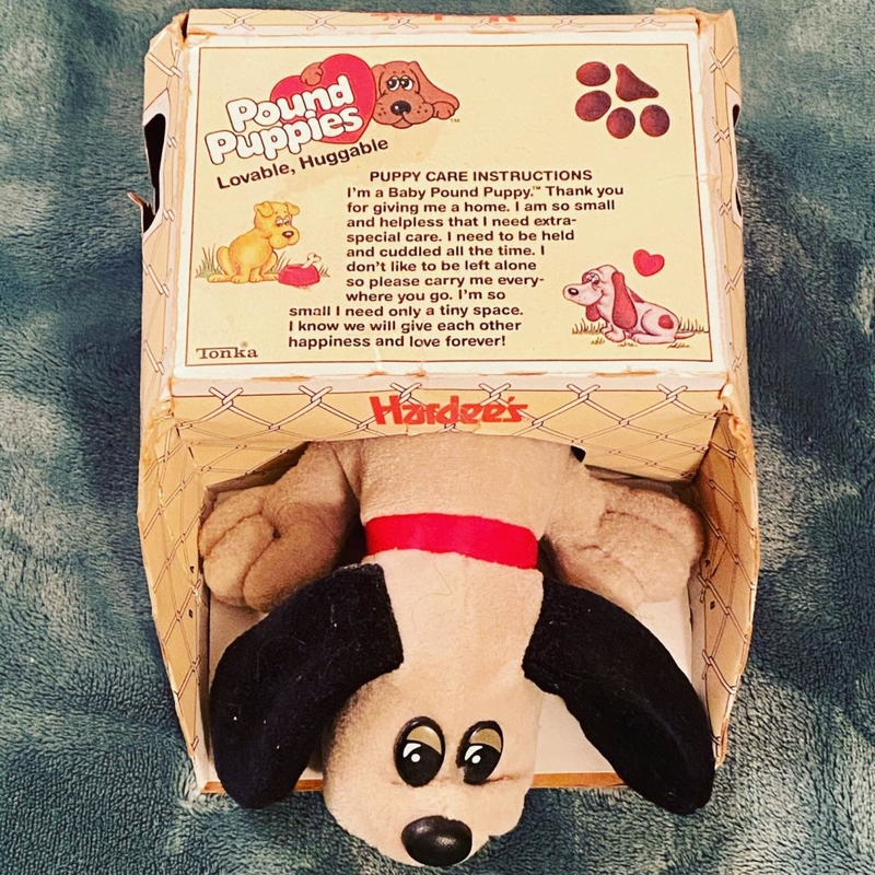 Peluche Pound Puppies Primera Edición | Instagram/@treasure_chamber