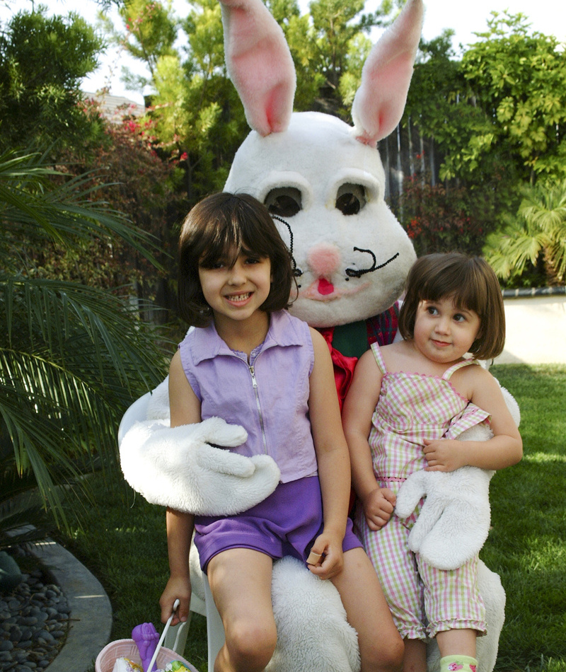 ¿Quién caza a quién? | Getty Images Photo by Spiderplay