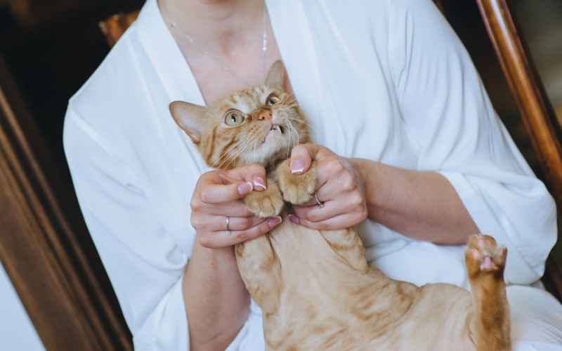 Bitte nicht herumtragen! | Shutterstock Photo by Shchus