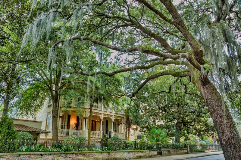 Dreharbeiten in Savannah | Alamy Stock Photo