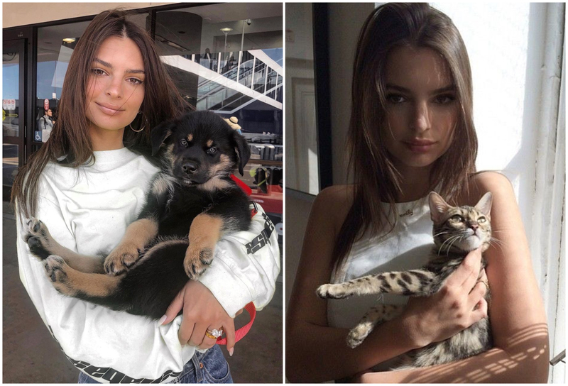 An Animal Lover | Instagram/@emrata