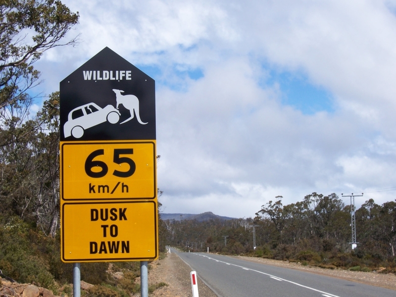 Vândalos Australianos | Getty Images Photo by Warren Lennon