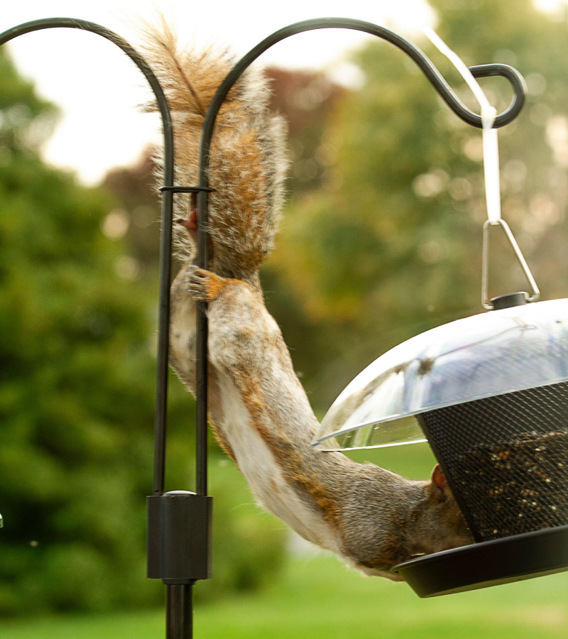 Tengo mucha hambre | Alamy Stock Photo by Trudy Wilkerson