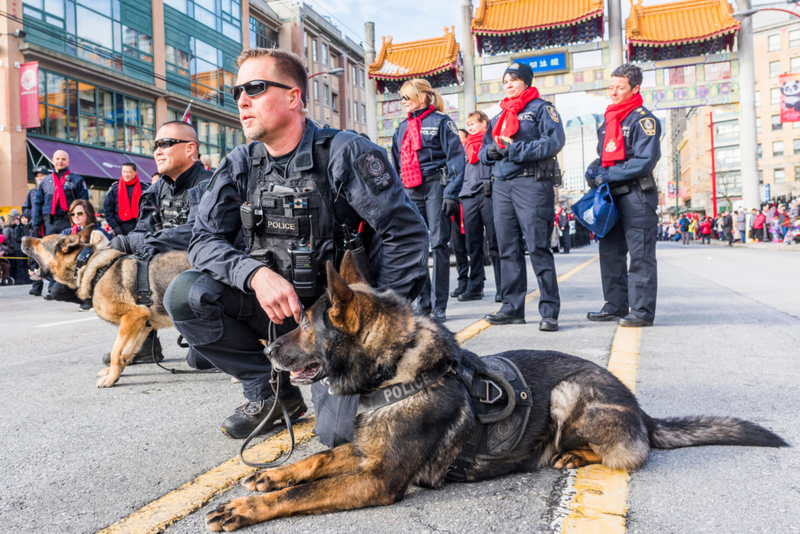 Os Cães Policiais de Vancouver Ajudam a Cidade de Várias Maneiras | Alamy Stock Photo