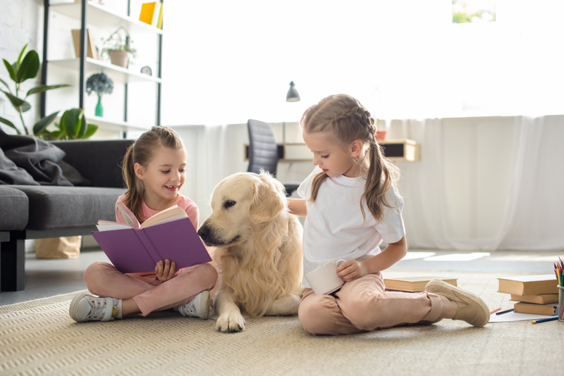 Labradores e Outras Raças Pacientes Ouvem Crianças Lendo | Shutterstock