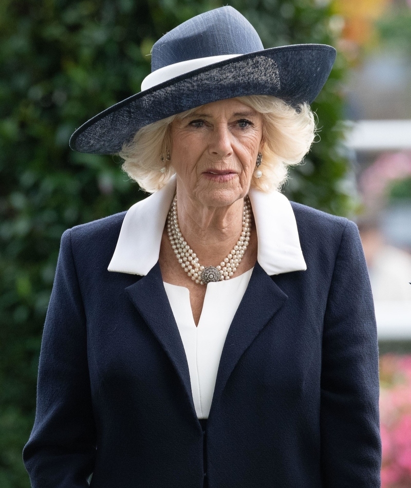 Camilla, Queen Consort - 5 Millionen US-Dollar | Alamy Stock Photo by Maureen McLean/Alamy Live News