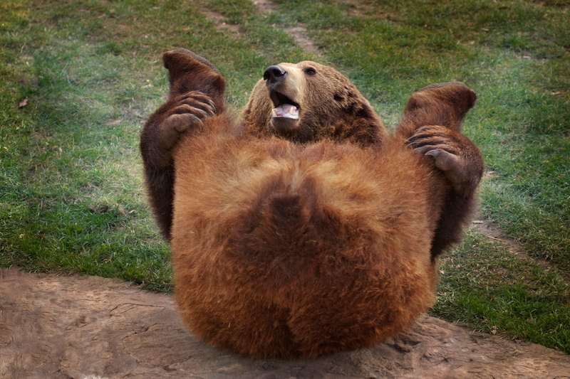 Man nennt es Yoga, Sie unkultiviertes Pack! | Alamy Stock Photo by imageBROKER GmbH & Co. KG/Andre´ Skonieczny