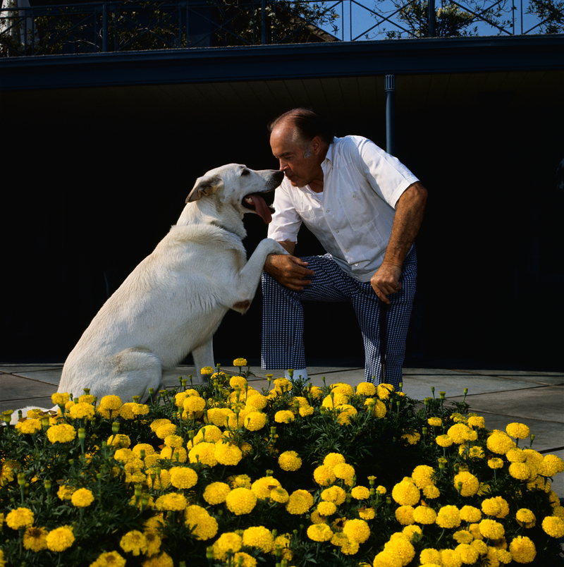 Bob Hope | Getty Images Photo by Bettmann 