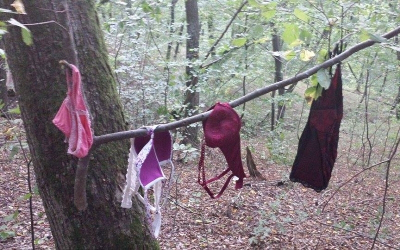 Drying the Laundry | Imgur.com/nRNRNFi