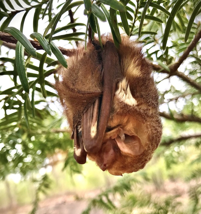 Trabalhando duro por todos nós | Instagram/@turasatanarama