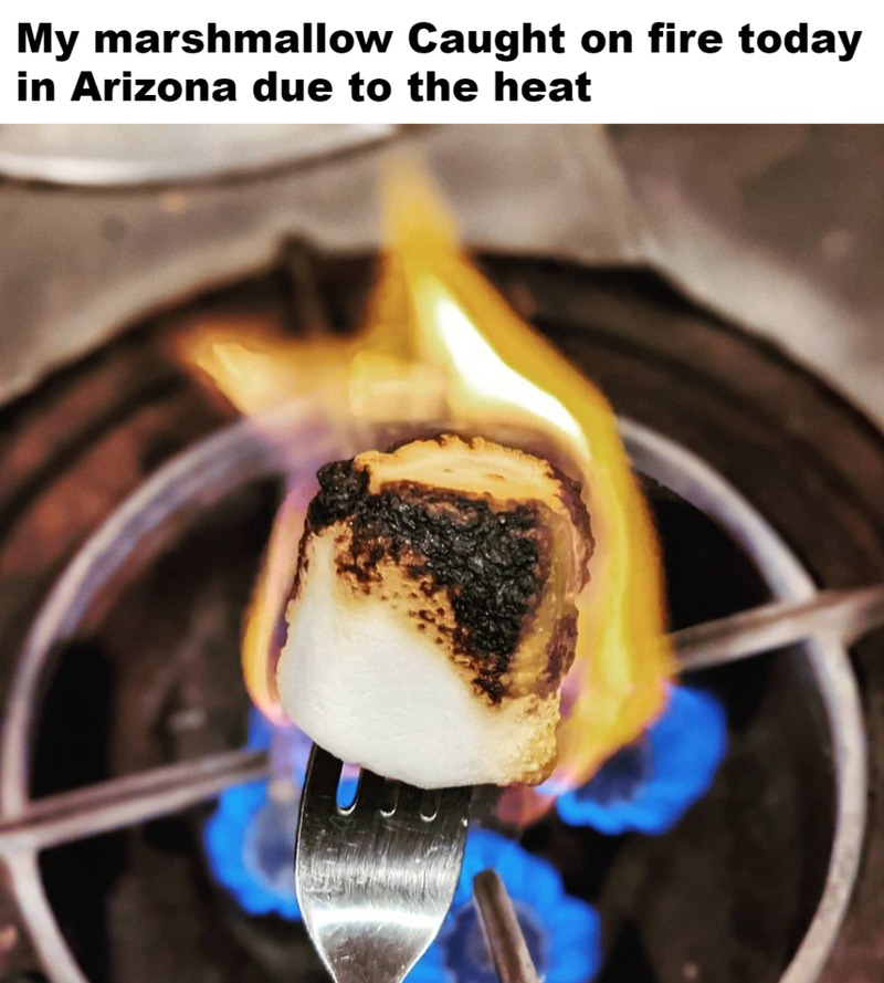 Something Definitely Got Burned | Instagram/@susand13