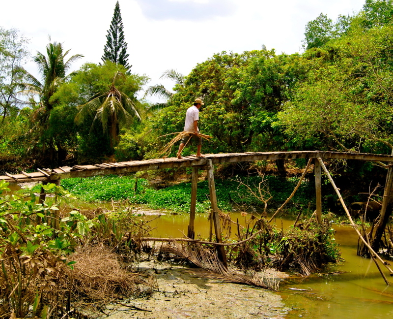 Affenbrücken, Vietnam | Alamy Stock Photo by grant massey