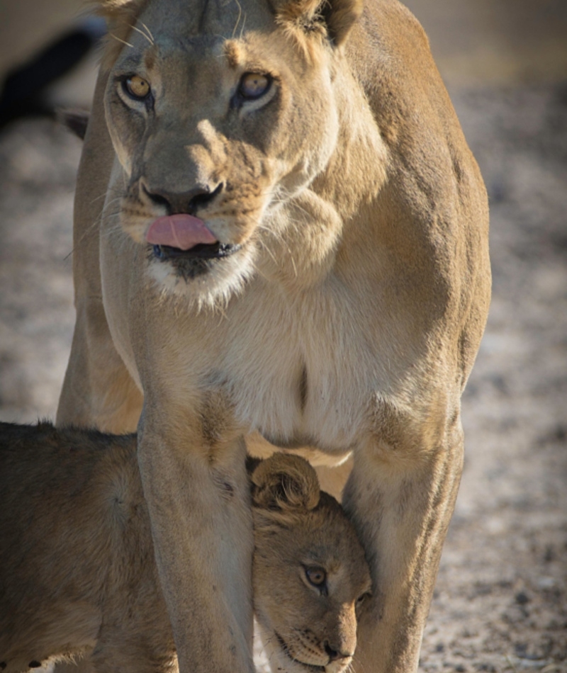 ¡¿Que hizo qué?! | Alamy Stock Photo by Stephen Adams