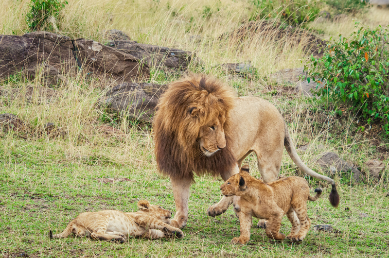 Muy bien ustedes dos, ya basta | Alamy Stock Photo by Paulette Sinclair 