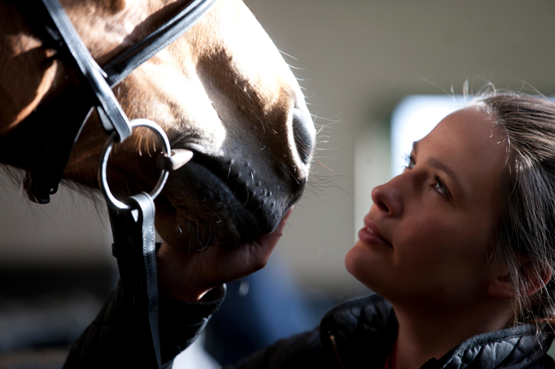 Horse Hormones | Alamy Stock Photo by Kim Jackson/Mode Images