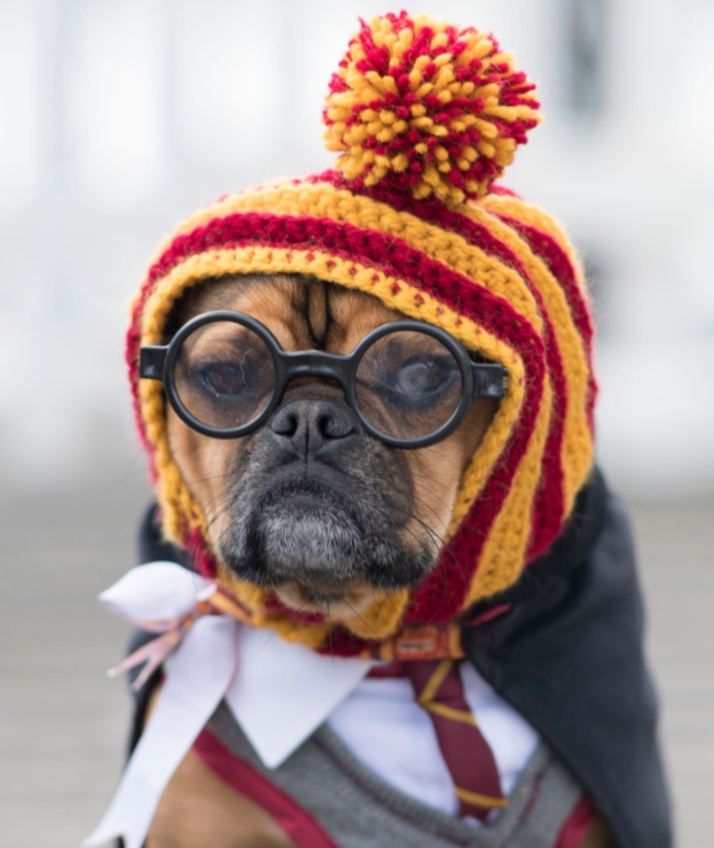 Harry Potter | Alamy Stock Photo by Matthew Horwood