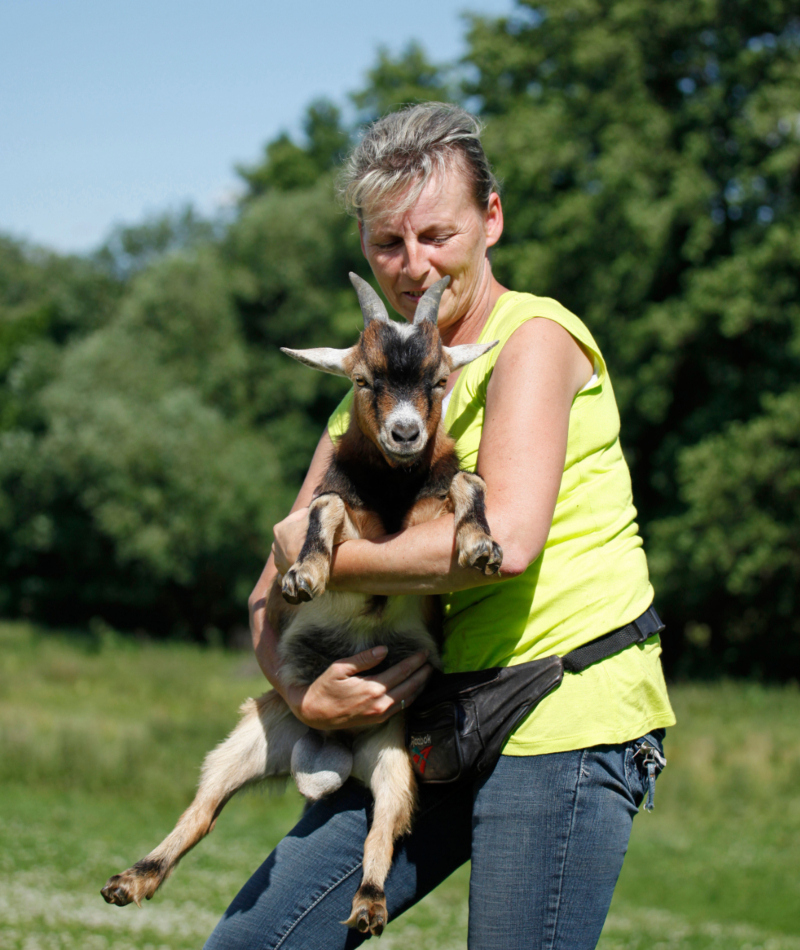 Pygmy Ziege | Alamy Stock Photo by Tierfotoagentur/R. Richter