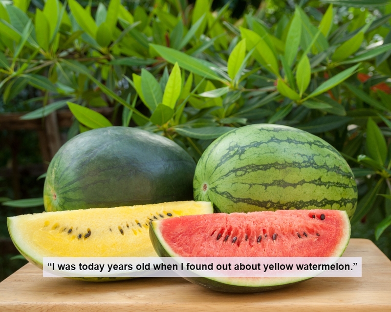 The Sunny Side of Watermelons | Shutterstock