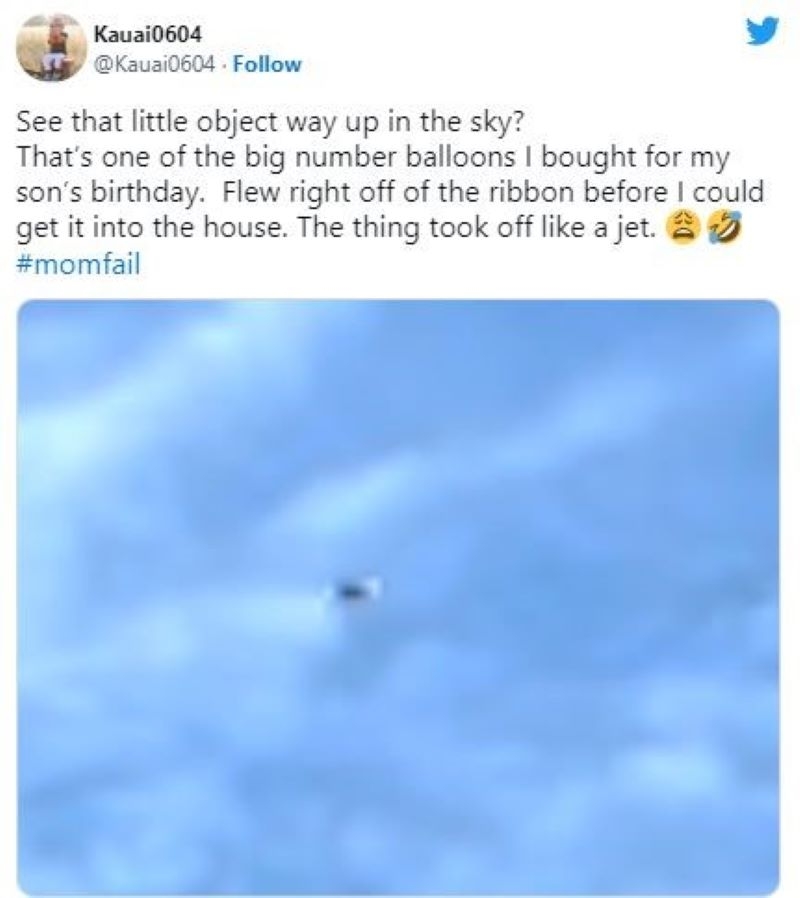 The Mom With the Flyaway Balloons | Twitter/@Kauai0604