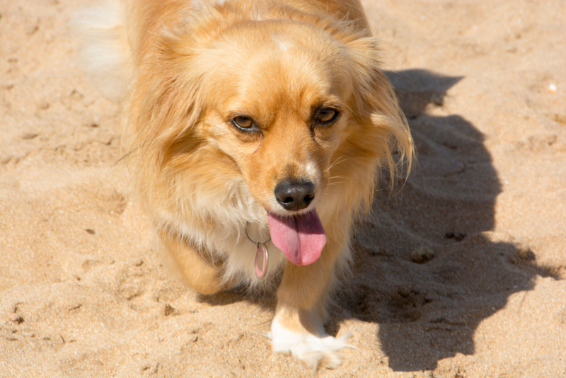 The Docker | Alamy Stock Photo by LifeStyle 