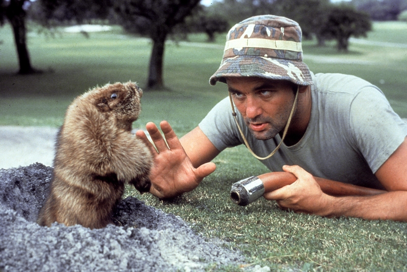 Caddyshack | Alamy Stock Photo