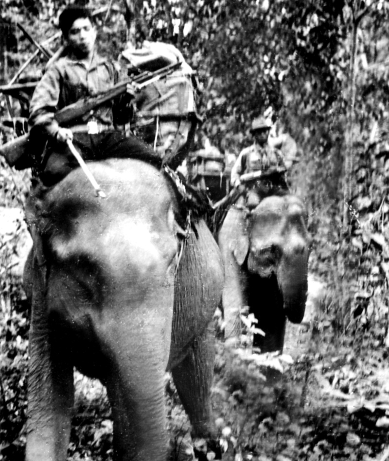 A Icônica Queda de Dumbo | Getty Images Photo by AFP