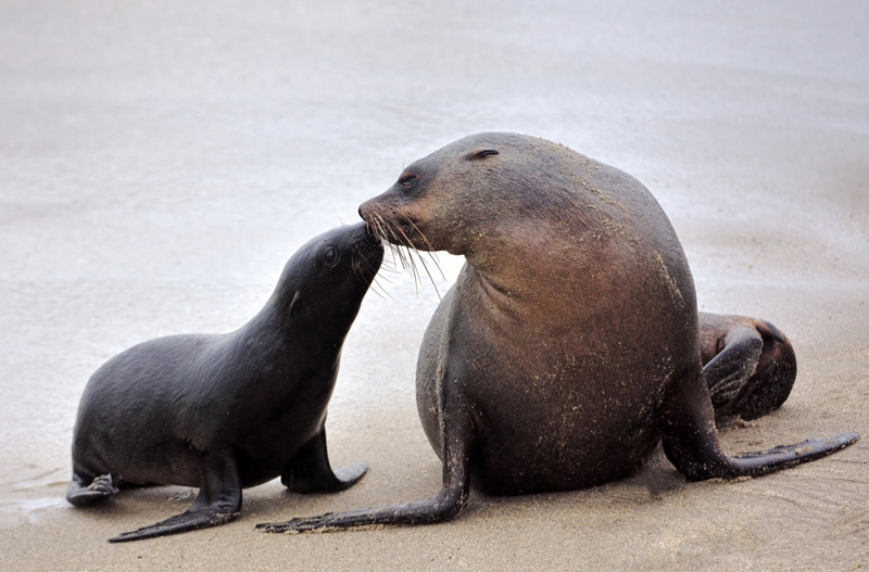 Einen Kuss besiegeln | Getty Images Photo by Freder