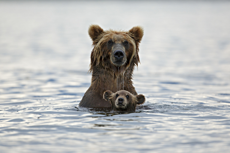 Schwimmkurs | Getty Images Photo by Marco Mattiussi