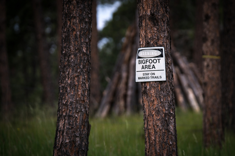 La explicación de la existencia de Bigfoot | Shutterstock