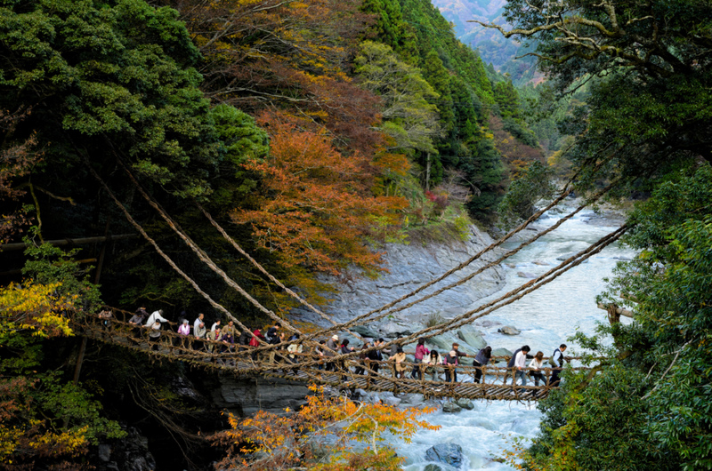 Iya Kazurabashi Bridge, Japão | Alamy Stock Photo by CulturalEyes-AusGS2