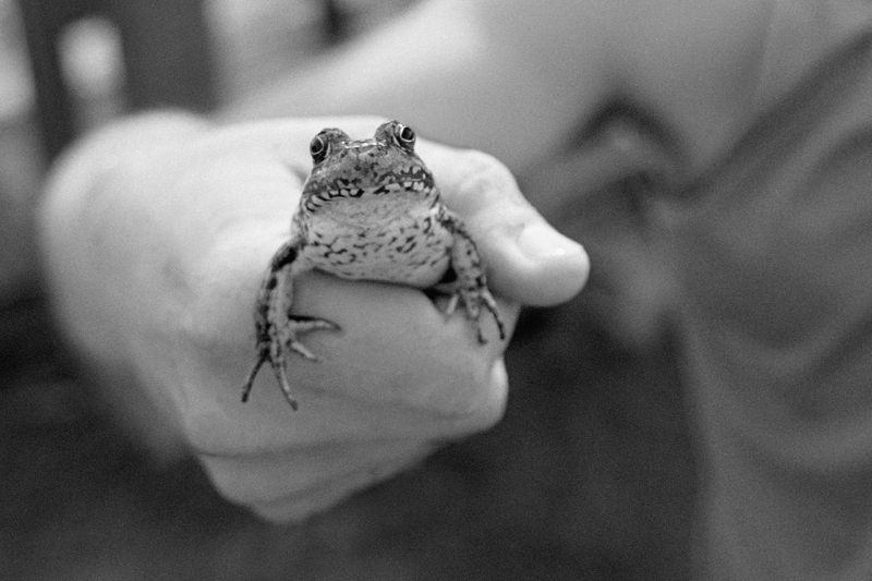 Toad Doctor | Alamy Stock Photo