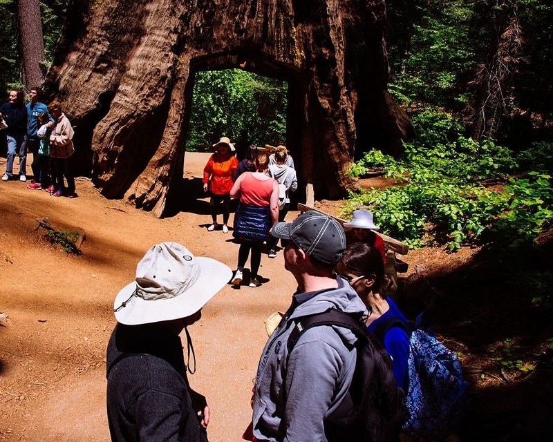 Realidad - Parque Nacional Yosemite, Estados Unidos | Getty Images Photo by Hugh Peterswald/Pacific Press/LightRocket