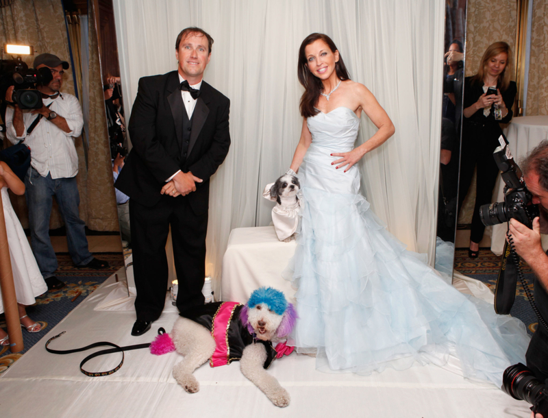 The Ultimate Dog Hochzeit | Getty Images Photo by Cindy Ord