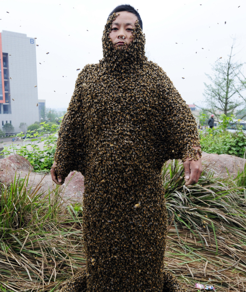 ¡La realidad de la abeja reina! | Alamy Stock Photo by Imaginechina Limited 